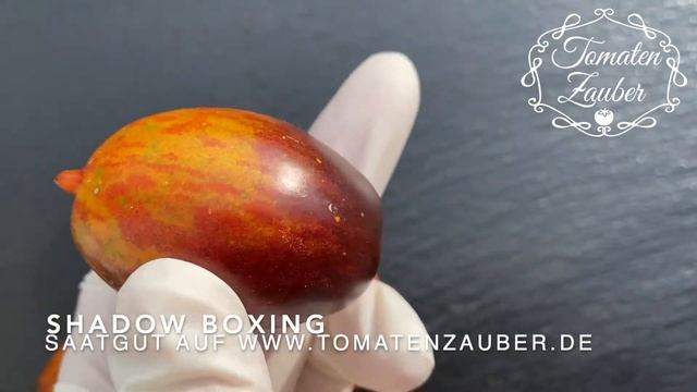 Shadow Boxing Tomate - Tomatenzauber.de смотреть онлайн