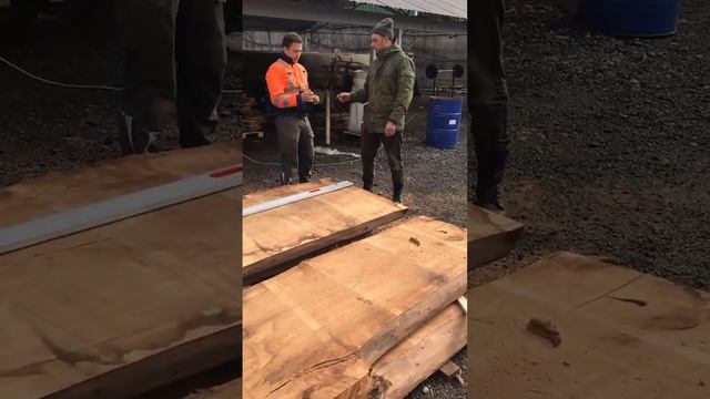 подготовка слэбов, тополь, часть 2