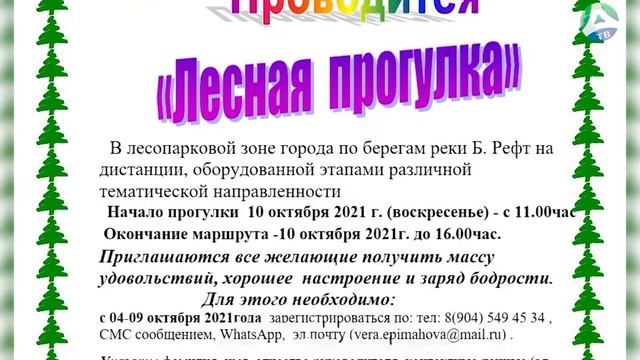 Проводится "Лесная прогулка" смотреть онлайн