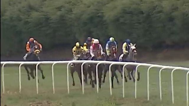 Colonel King with P Sai Kumar up wins The Dolphin's Nose Plate 2019 смотреть онлайн