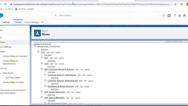 04 Record Level Security - OWD, Role Hierarchy, Sharing Rule, Manual Sharing in Salesforce Lightnin
