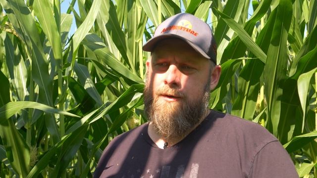 Top Crop | Episode 10 смотреть онлайн