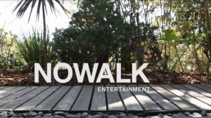 Shondaland/Nowalk Entertainment/ABC Studios (2016)