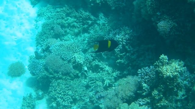 Египет Hurghada El Gouna смотреть онлайн