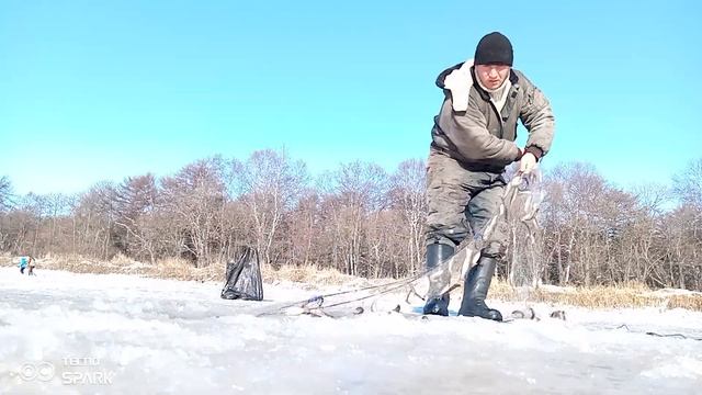 15 ноября 2023 г. смотреть онлайн