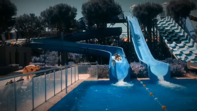 Alexey's viddy смотреть онлайн