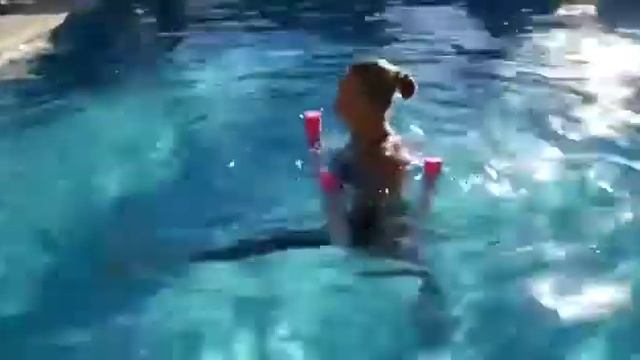 University Of Valencia (Spain ) Collaboration смотреть онлайн