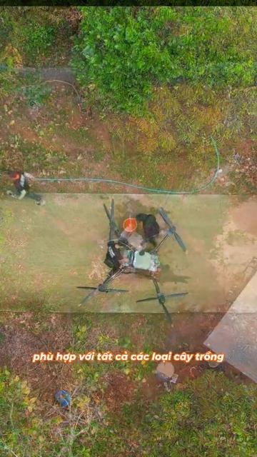 Thông tin về T50 смотреть онлайн