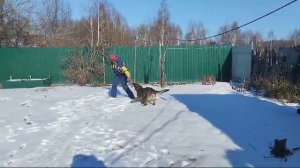 Васаби со мной игра в льняной мешок 2025-02-23