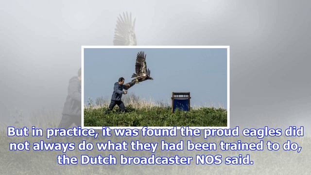 Dutch police ground drone-fighting eagles смотреть онлайн