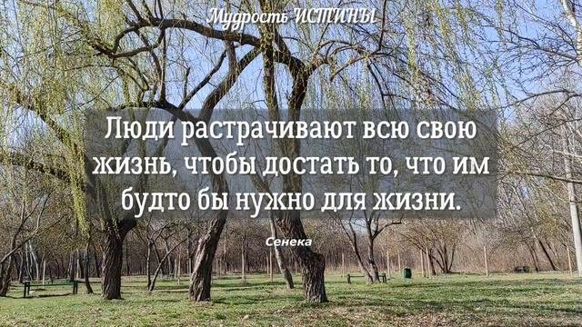 СТОИЧЕСКАЯ МУДРОСТЬ может просто изменить Вашу жизнь навсегда! Лучшие избранные цитаты стоиков.