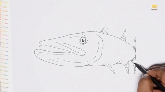 Barracuda drawing | How to draw Barracuda step by step | Easy drawing videos | fish drawing videos смотреть онлайн