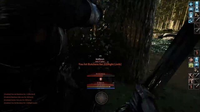 Mortal Online 2 [PVP] Etrius vs 3 Paladins смотреть онлайн