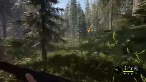 Охота На Утку с вертикалкой  |the hunter Call of the Wild |Subs 568/999