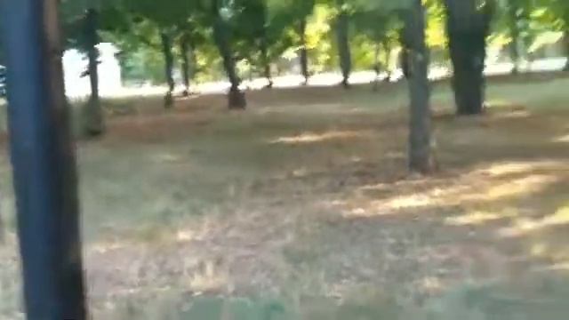 Турбаза Марьяновка 2018. смотреть онлайн