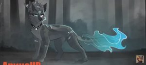 Коты воители