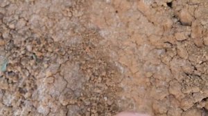 Мел в глинистых отложениях древнего моря Chalk in the clay deposits of the ancient sea 古代海洋粘土沉积物中的粉