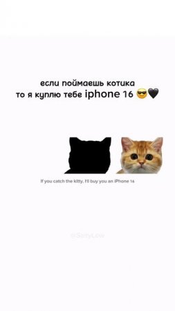 Ты знаешь кому скинуть 😎 SaityLow