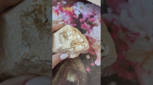 Глина Яшма/Clay Jasper