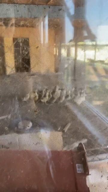 гуси новый отряд 2200700980481872 реквизиты для помощи спасибо что помогаете 