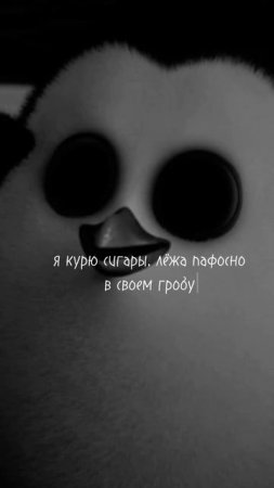 #2rbina_2rista #рекомендации #музыка