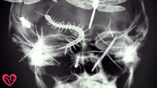 Всё из за баб!!! смотреть онлайн