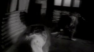 Bon Jovi feat. Dr. Alban - It's My Life (mashup video)