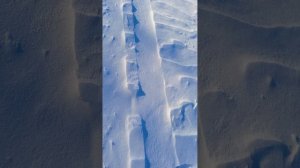 свинтус придет 2 часть.