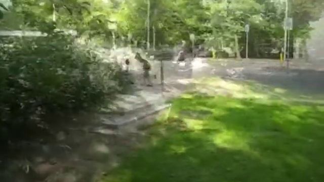 illegaal Skelteren op de waddenweg met Nino,Beau,Aisha & Jasmin 17-07-2009_NEW.mpg смотреть онлайн