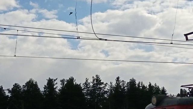 Электровозы ВЛ10к, 2эс6 "Синара" и ВЛ11 130. смотреть онлайн