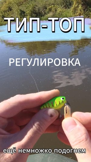 Воблер Тип-Топ с возможностью самостотельной регулировки погружения