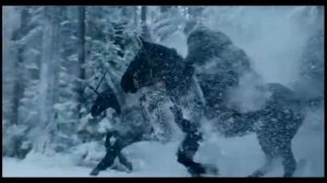 Каскадёрские трюки на лошадях