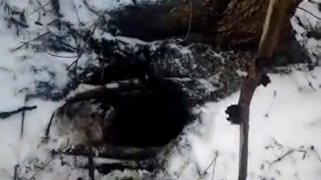 Ульф и лиса 2 смотреть онлайн