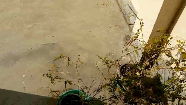 Open camera app video sample смотреть онлайн