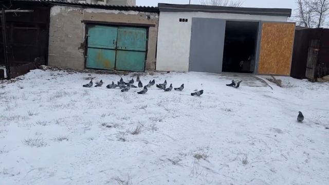 Мирноград у Абрамова А В смотреть онлайн