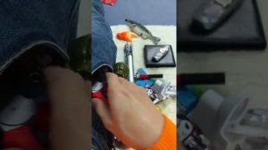 1000010756.mp4
