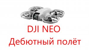 Дрон DJI NEO. Первый полёт (2025 02 16)