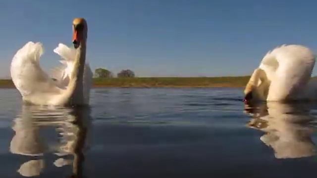 Проголодались