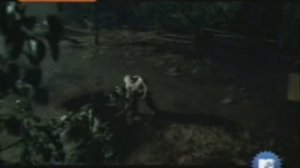 Celine dion & eminem