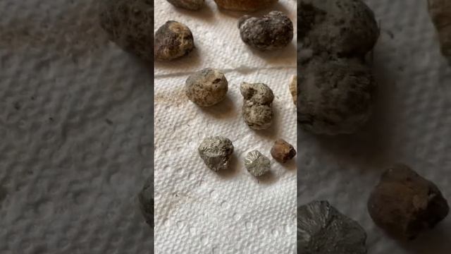 Mineral hunting for pyrite nodules and quartz crystals in Central Texas!! смотреть онлайн