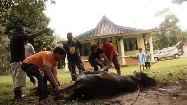 Kenangan Kg. TELUK Empang pengerang смотреть онлайн