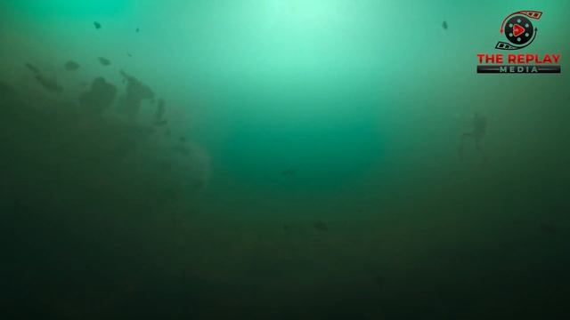 Netflix Recommendations: Why Under Paris is the Best Horror Shark Movie Right Now