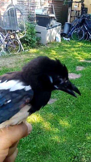 16 July 2021(2) смотреть онлайн