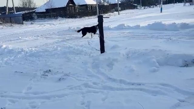 Дома!