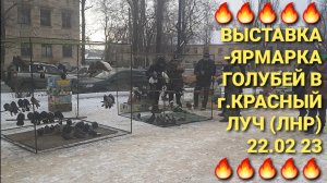 🔥🔥🔥 Выставка-ярмарка голубей в г Красный Луч. 22.02.25. Николаевские голуби. Pigeons Fair.