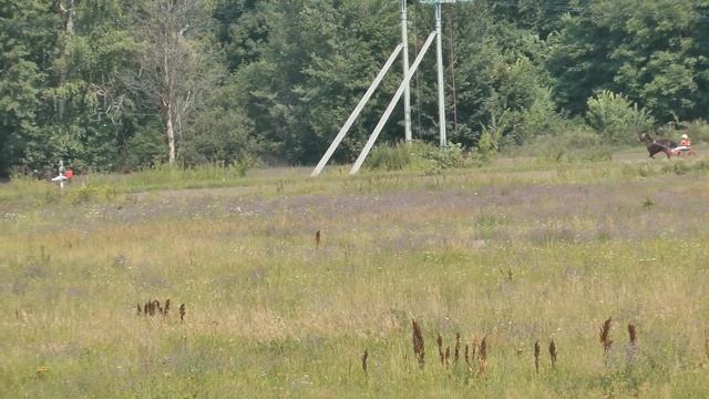 5.08.2018 г. 1-й заезд 2-х лет смотреть онлайн