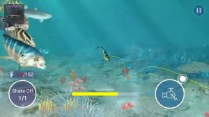 Legendary Big Fish Xenacanthus