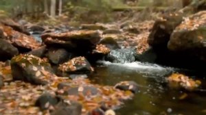 За Святую Русь помолюсь! / Арт-группа Ларго