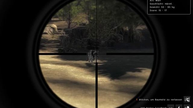 Wolf @ The Hunter Classic смотреть онлайн