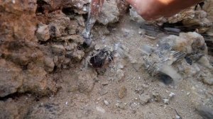 amethysts and  Red crystals  are formed in volcanic caves by the sea. Gems, diamonds